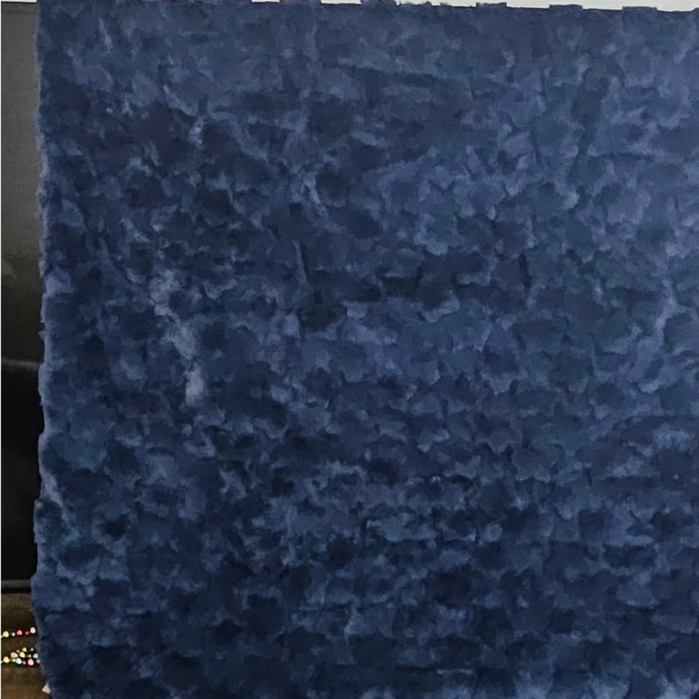 FAO Schwarz Plush Blue Throw Blanket